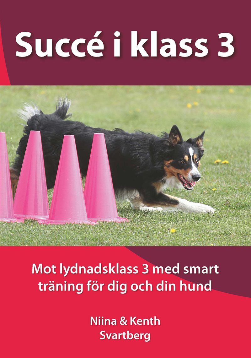 Succé i klass 3 - mot lydnadsklass 3 med smart träning för dig och din hund